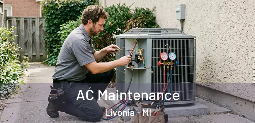 AC Maintenance Livonia - MI